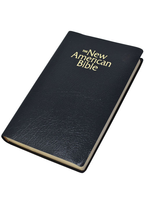 Gift Bible by Catholic Book Publishing W2402B