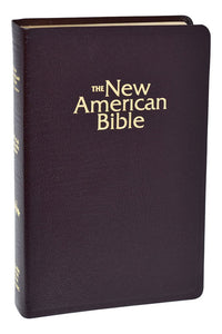 Gift Bible by Catholic Book Publishing W2406BG